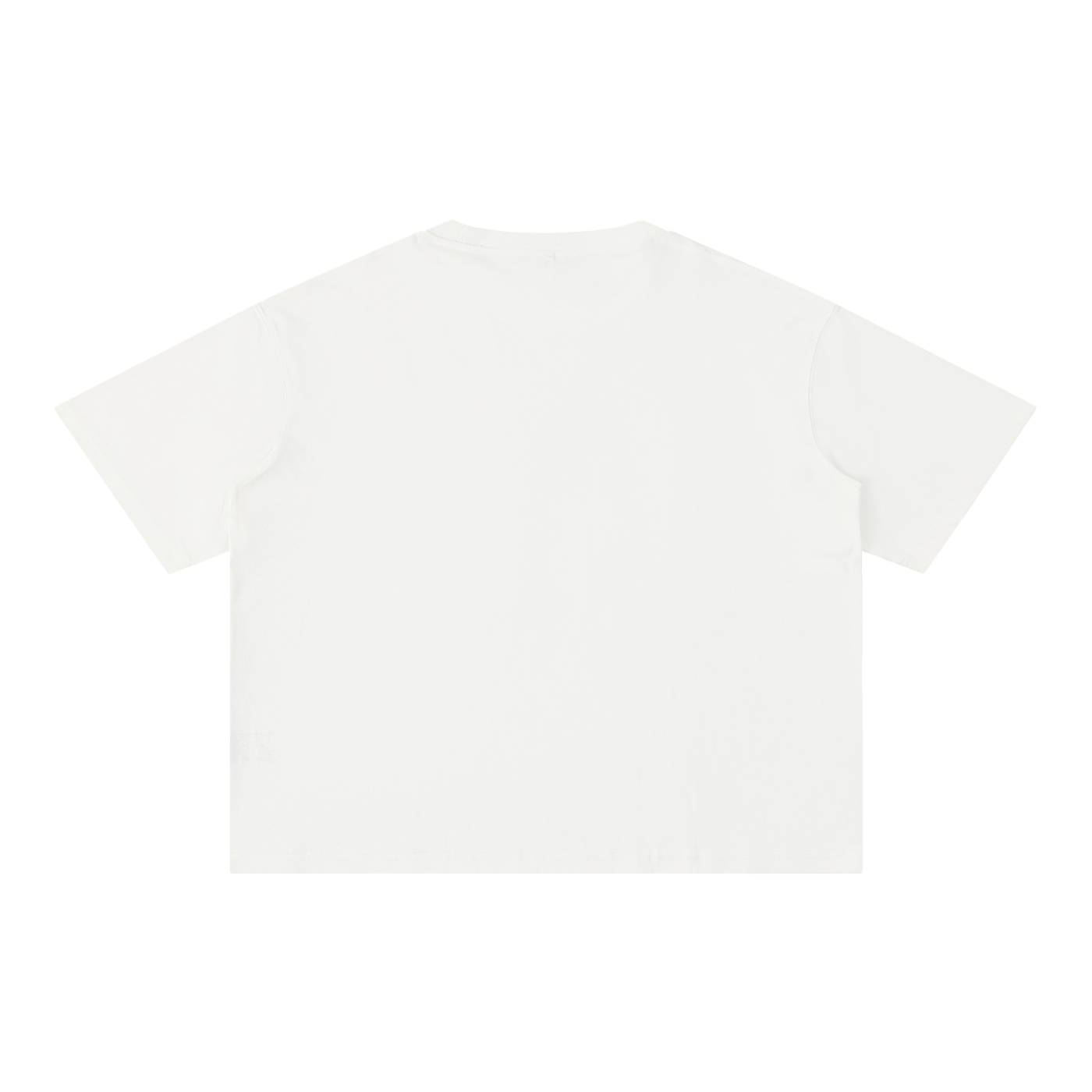 "The Problem and the Vibe" Mineral Wash Boxy Cotton T-Shirt