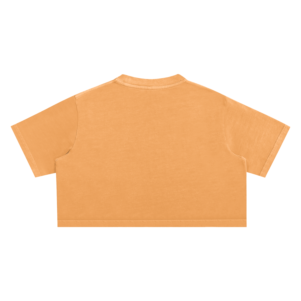 "Brat" Snow Washed Crop Top