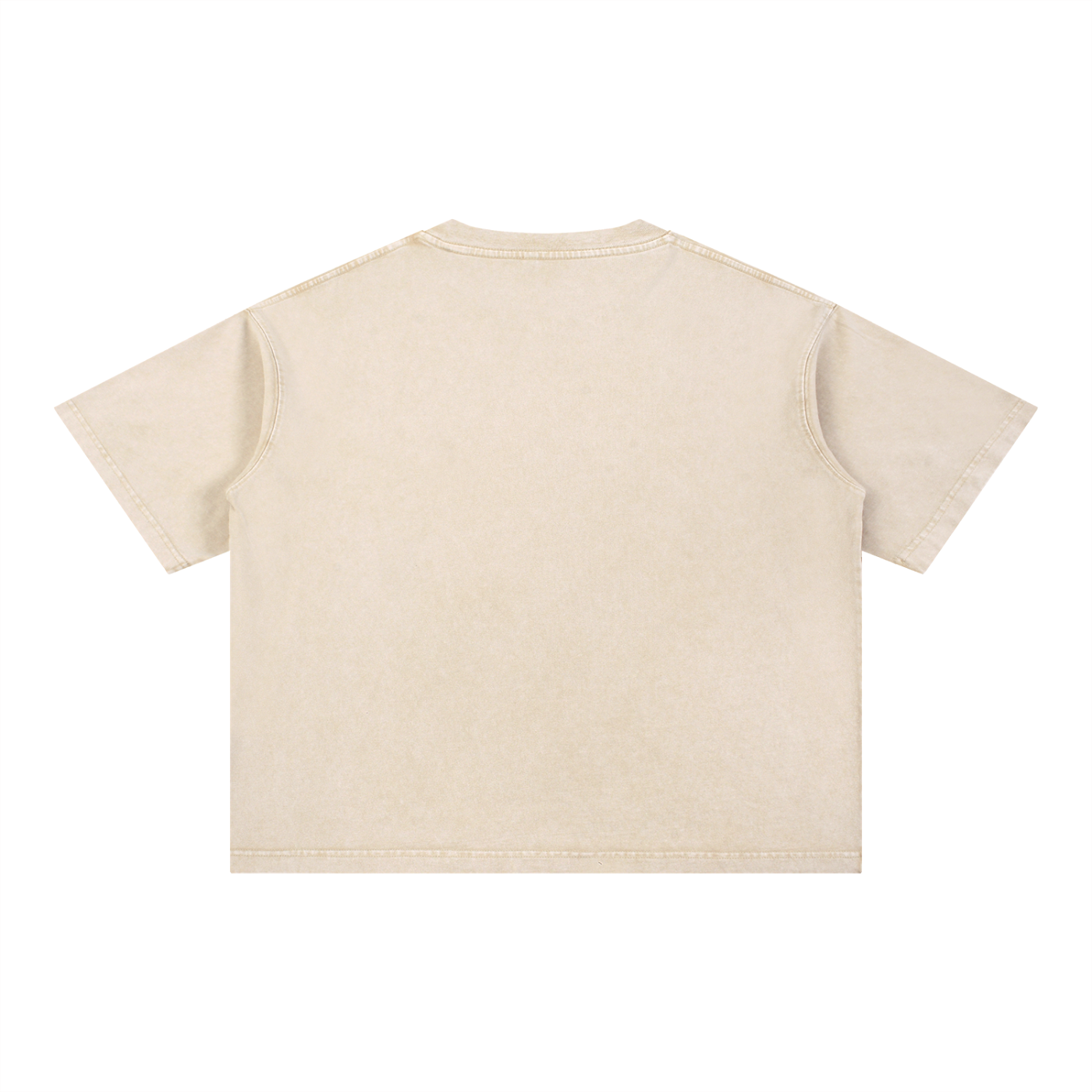 "The Problem and the Vibe" Mineral Wash Boxy Cotton T-Shirt