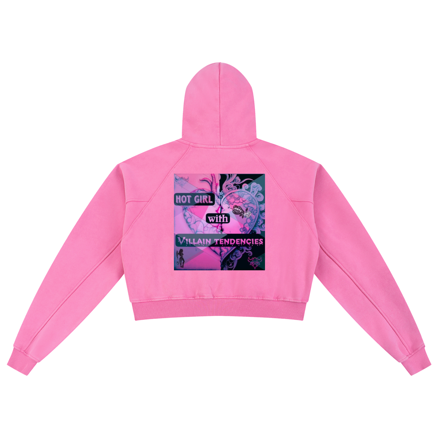 "Hot Girl with Villain Tendencies" Snow Washed Cropped Hoodie