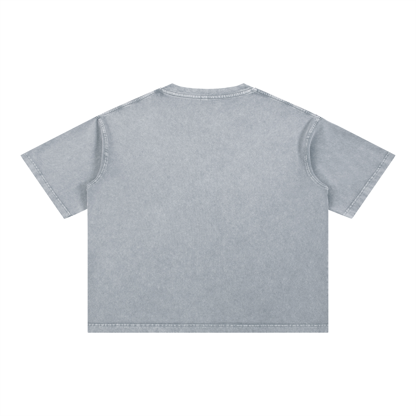 "The Problem and the Vibe" Mineral Wash Boxy Cotton T-Shirt